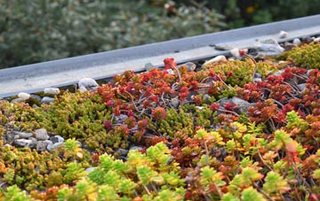 the cost of Rodmersham Green green roof installation