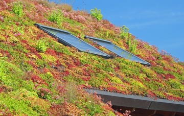Rodmersham Green living roof systems