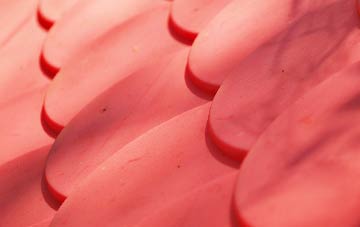 Rodmersham Green plastic roof costs