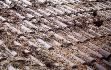 Rodmersham Green roof cleaning companies