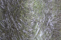 Rodmersham Green fibreglass roof work